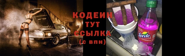 сатива Иннополис