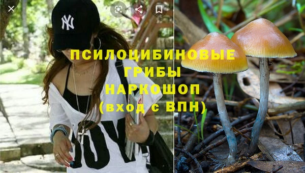 амф Карпинск