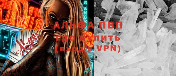 сатива Иннополис