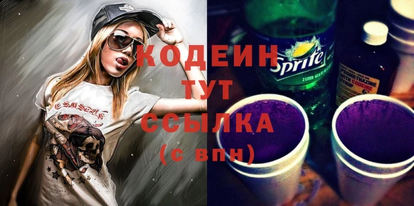 сатива Иннополис
