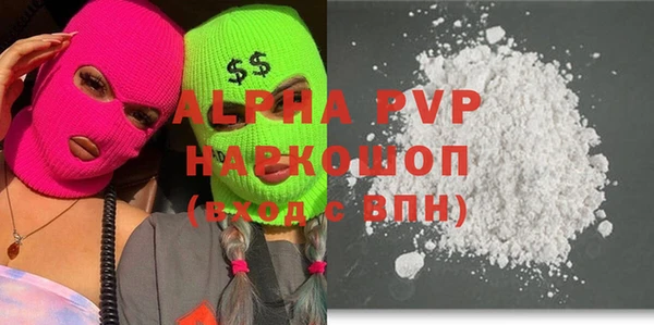 сатива Иннополис