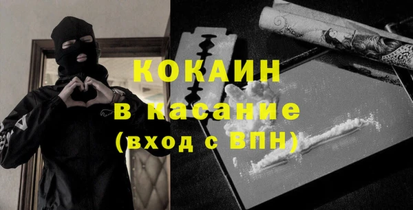 сатива Иннополис