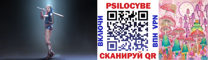 Псилоцибиновые грибы Cubensis  Купить  Гусь-Хрустальный 